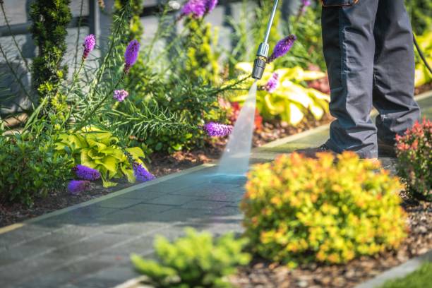 Best Gas Station Cleaning  in Mount Hore, WI