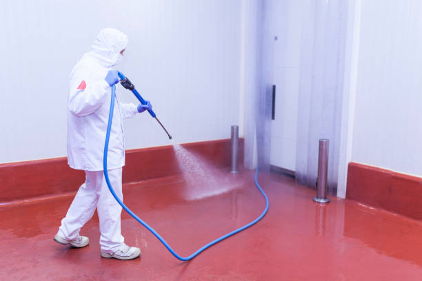 Reliable Mount Hore, WI Pressure Washing Services Solutions