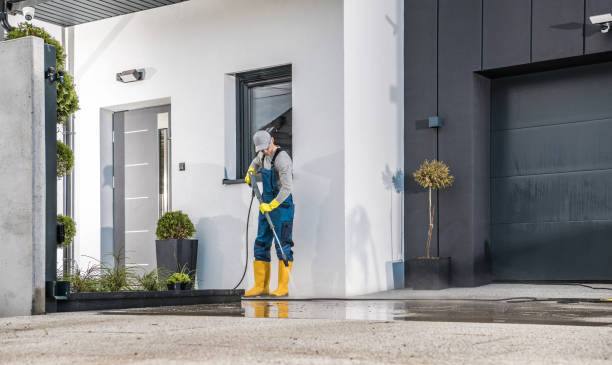 Best Driveway Pressure Washing  in Mount Hore, WI